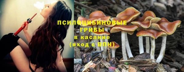 spice Абинск